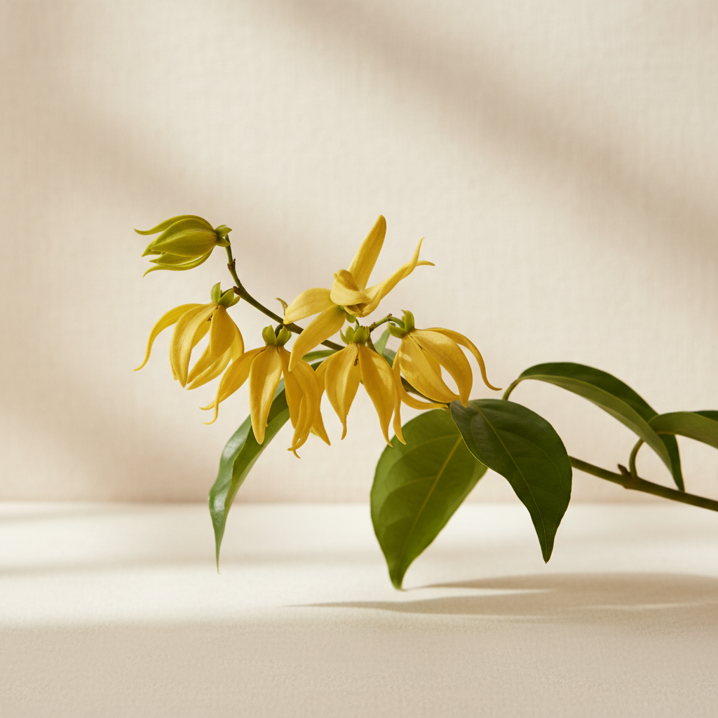 Ylang-ylang